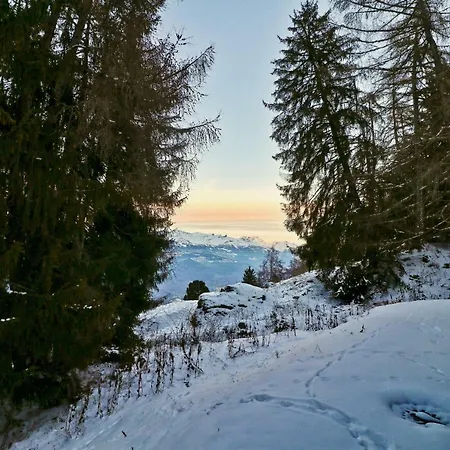 Beautiful In The Mayens De Sion, 500m From The Ours Piste - 4 Vallees Appartement *