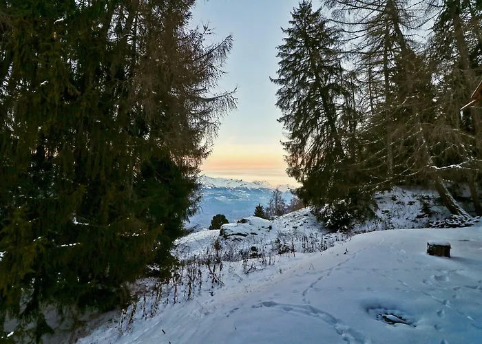 Beautiful In The Mayens De Sion, 500m From The Ours Piste - 4 Vallees Appartement *
